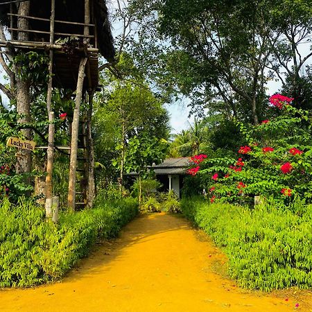 Lucky Villa Sigiriya Dış mekan fotoğraf