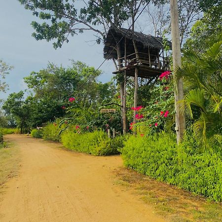 Lucky Villa Sigiriya Dış mekan fotoğraf