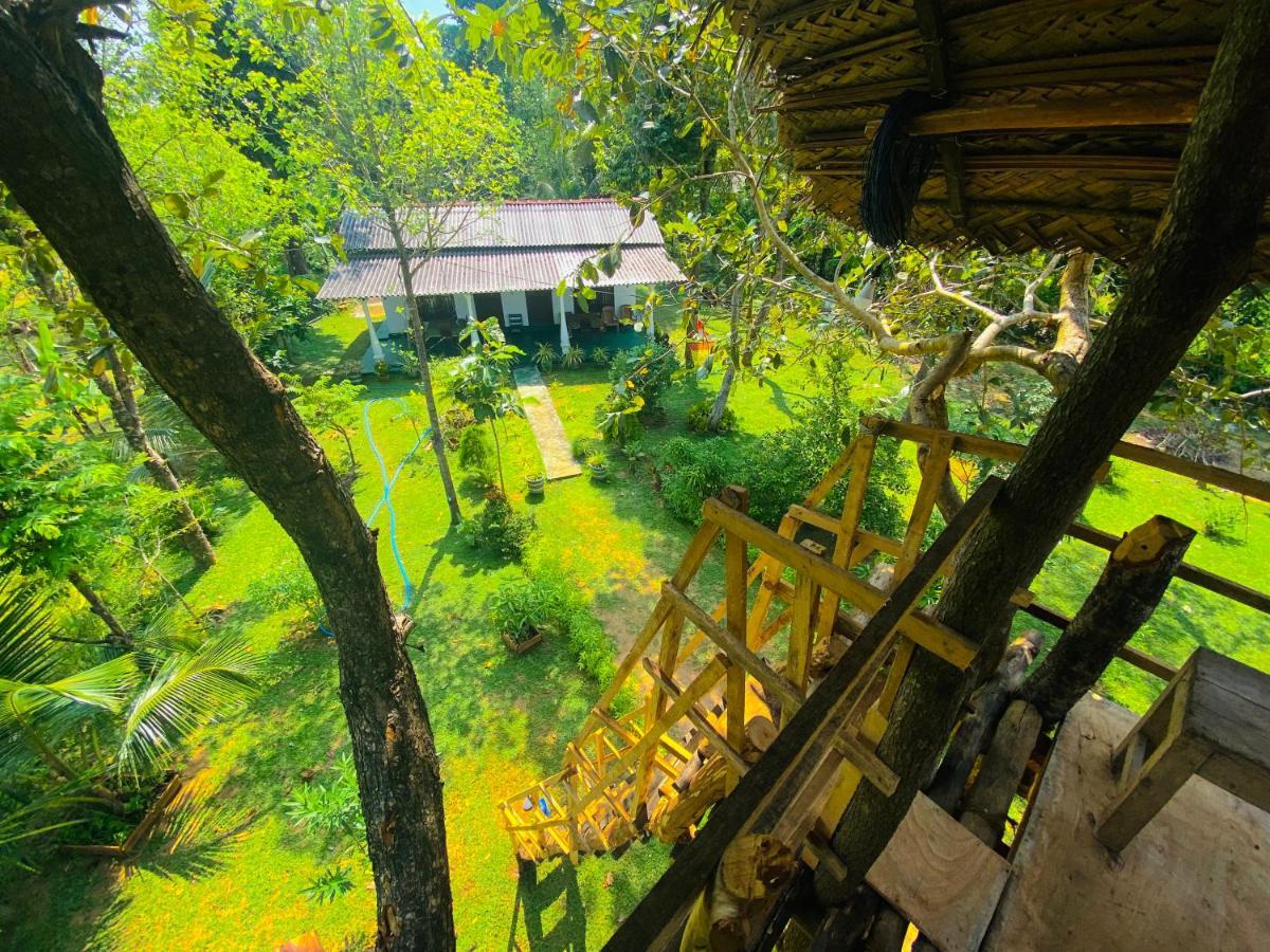 Lucky Villa Sigiriya Dış mekan fotoğraf