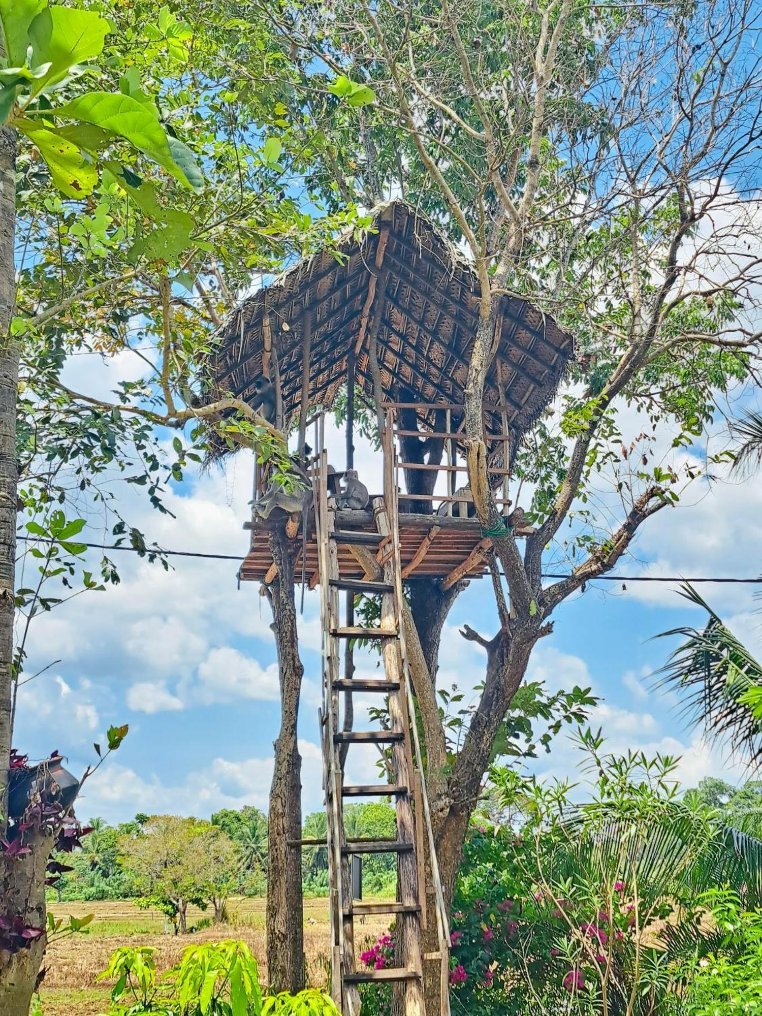 Lucky Villa Sigiriya Dış mekan fotoğraf