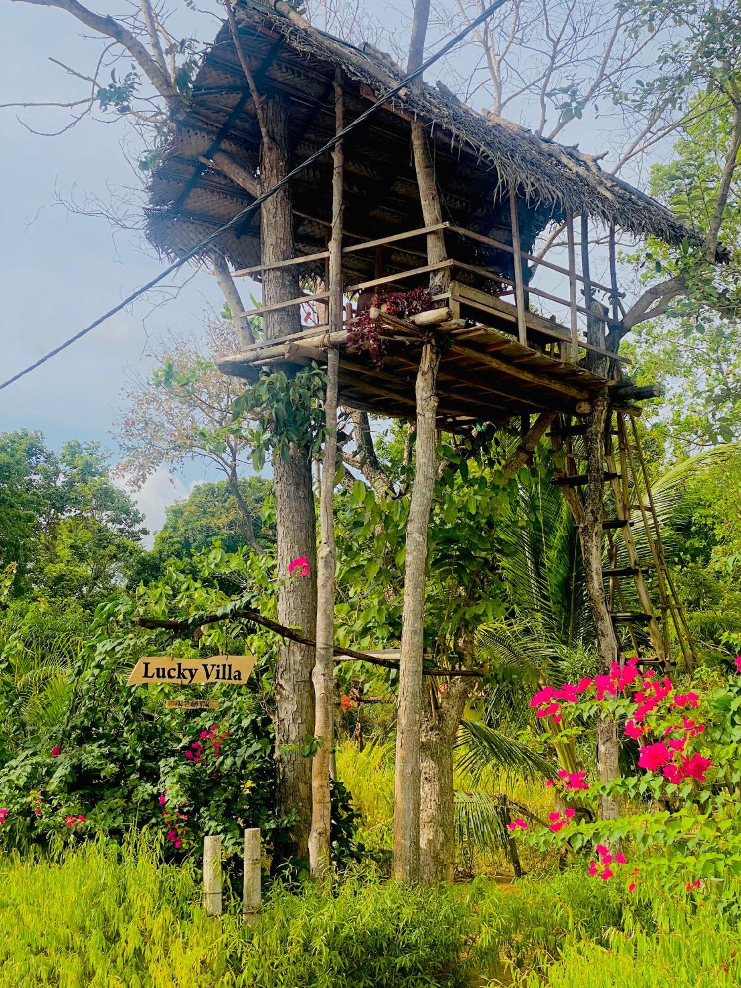 Lucky Villa Sigiriya Dış mekan fotoğraf