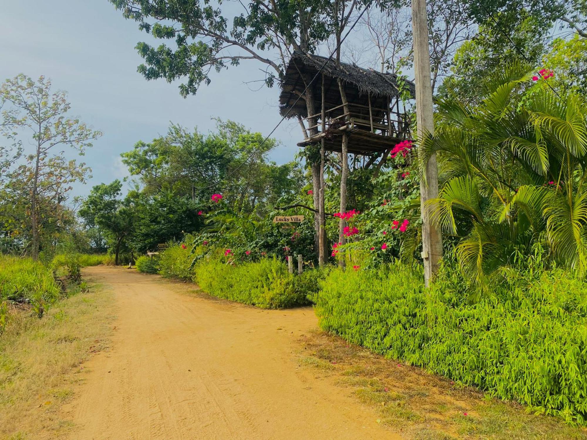 Lucky Villa Sigiriya Dış mekan fotoğraf