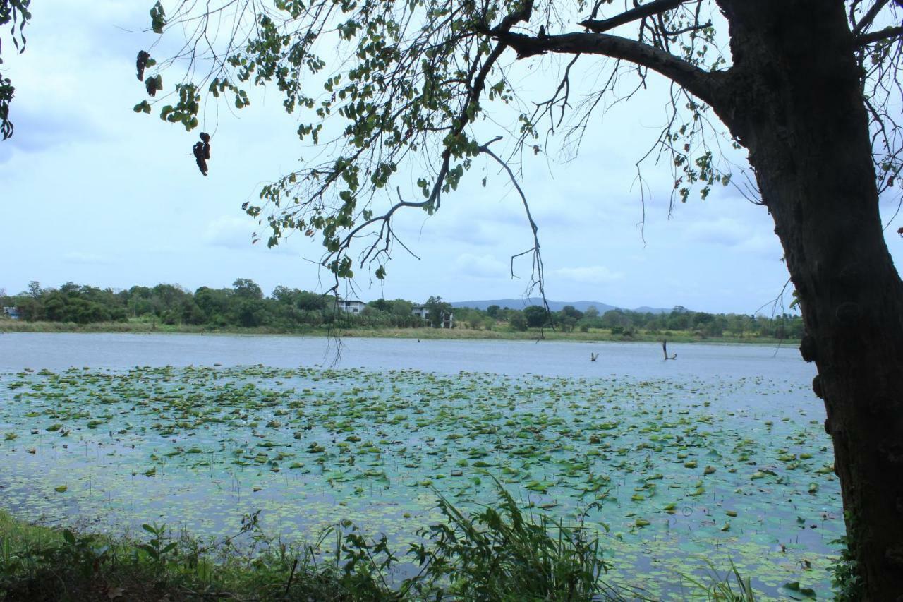 Lucky Villa Sigiriya Dış mekan fotoğraf